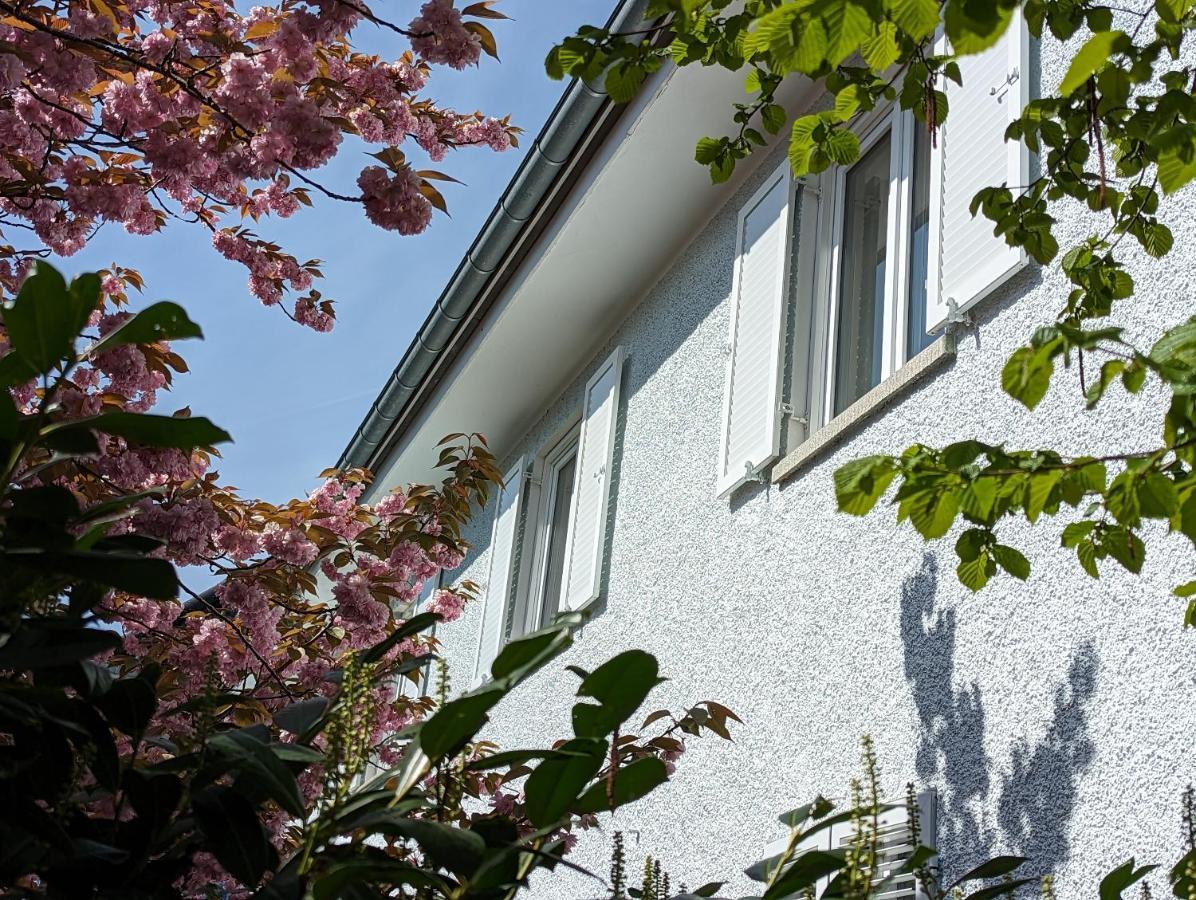 LAGO - Ferienwohnungen Lindau  Exterior foto